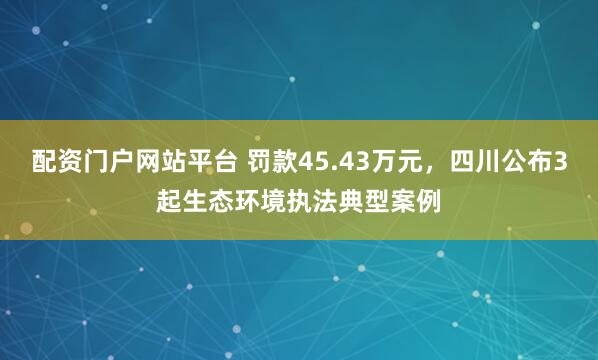 配资门户网站平台 罚款45.43万元，四川公布3起生态环境执法典型案例